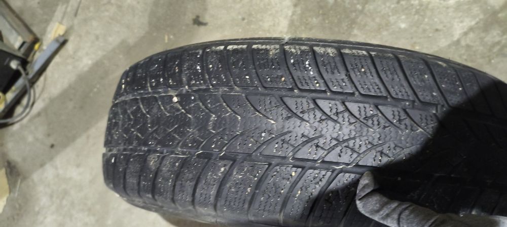 195/65/15 triangle winterx