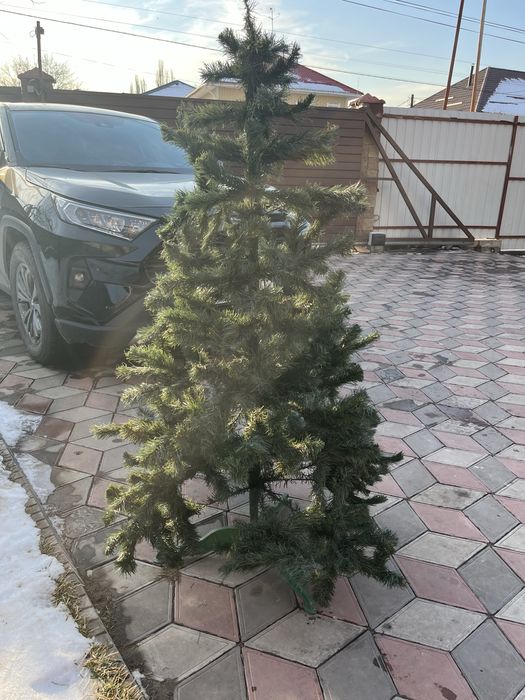 Елка качественая