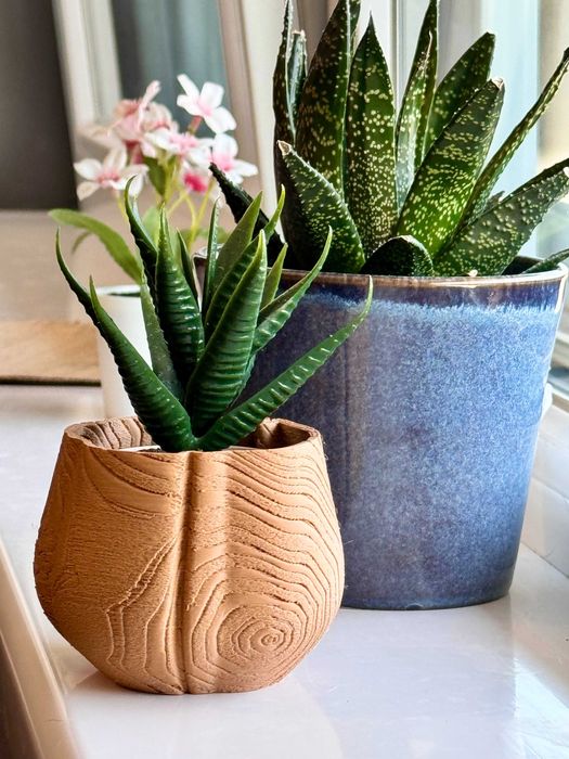 Servicii Printare 3D - Calitate și Precizie la Prețuri Accesibile