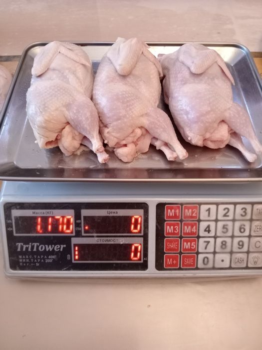 Мясо домашних перепелов