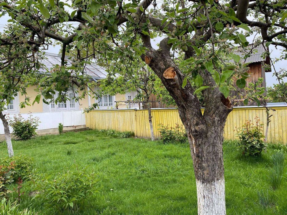 Vand teren ( loturi separate)