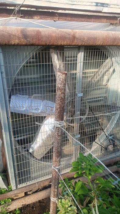 Teplitsiya oxlajdeniya