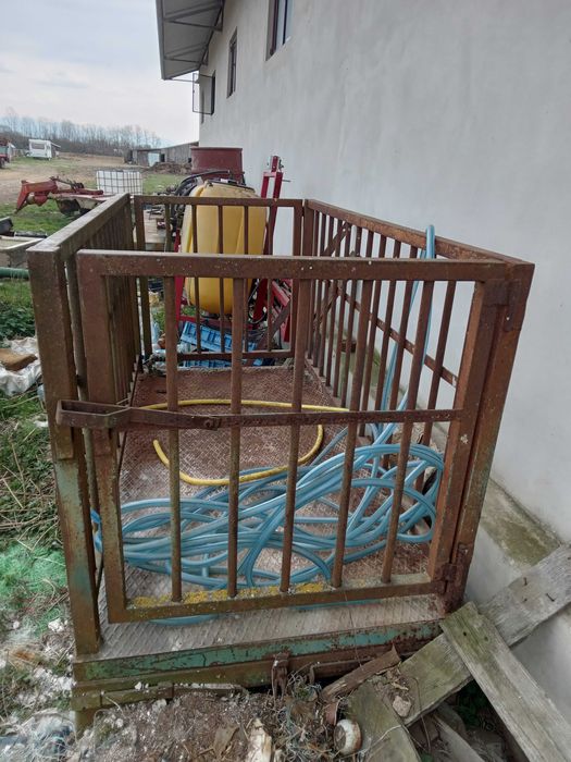 Cantar pentru animale