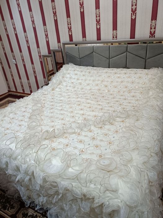 Pakreval sarpa uchun