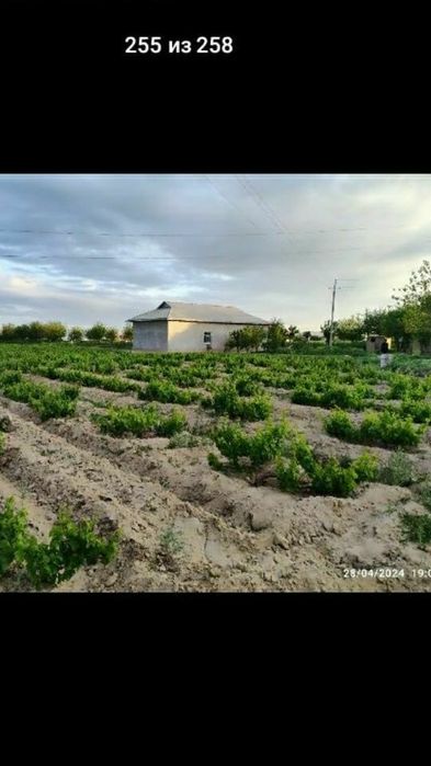 uy joy sotiladi 50 sotix 320 000$ kelishamjz