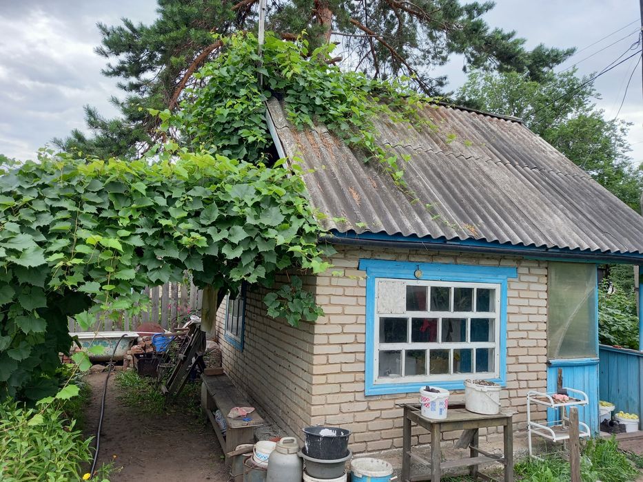 Продам дачу. Мелиоратор