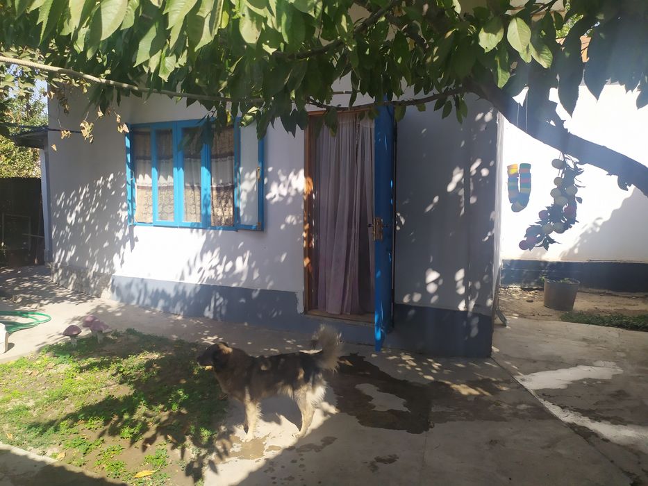 Продаем уютный дом ! Обмен с доплатой рассматриваем тоже!