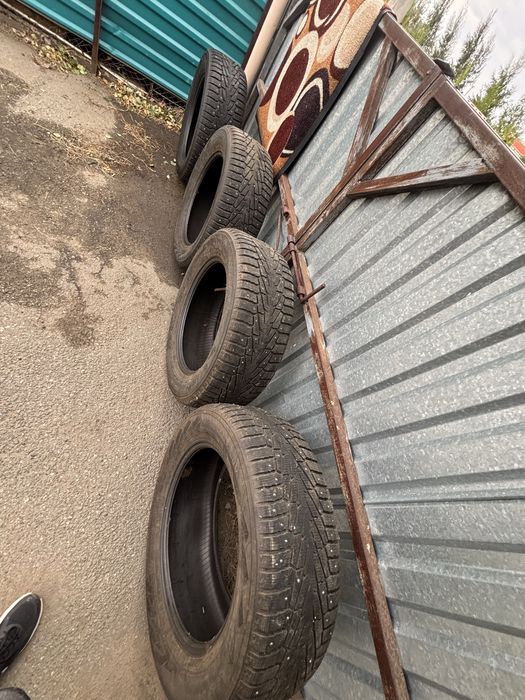Шины Nokian Nordman 7