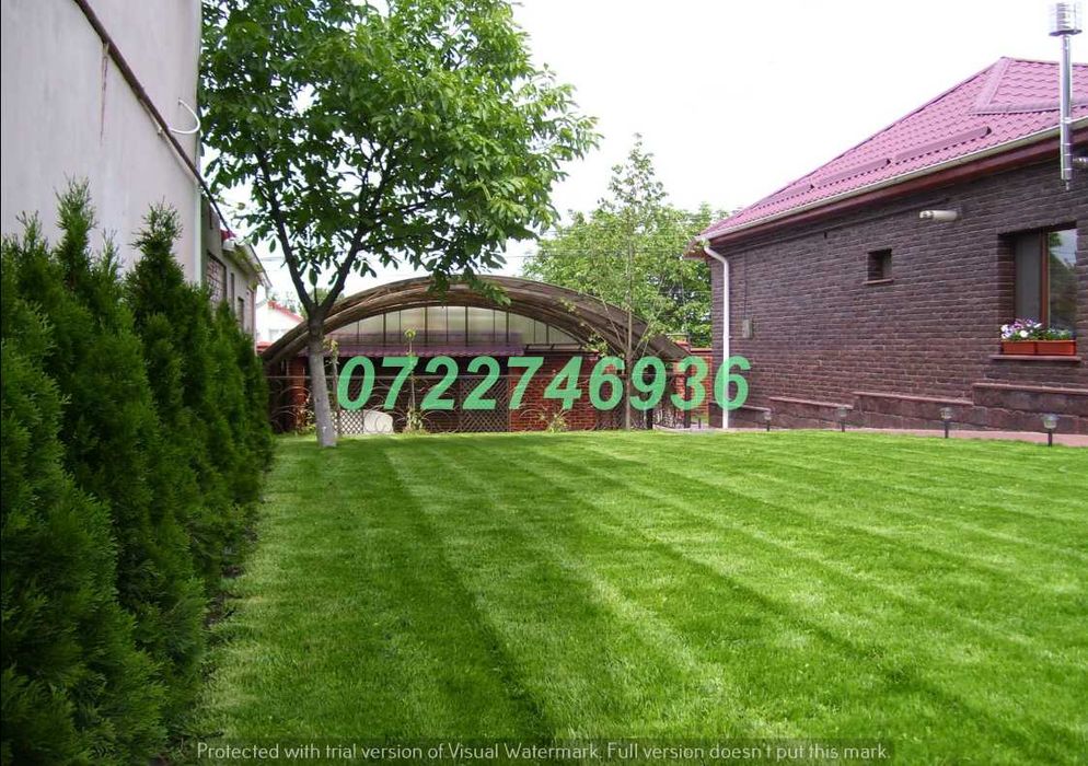 Gazon Verde Premium pentru Orice Tip de Curte