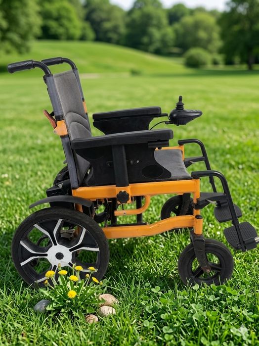 Carucior handicap electric