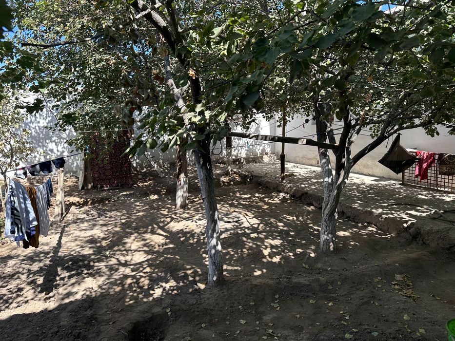 урганч шахар жамбул махалласида уй сотилади мустакиллик 12 пр3