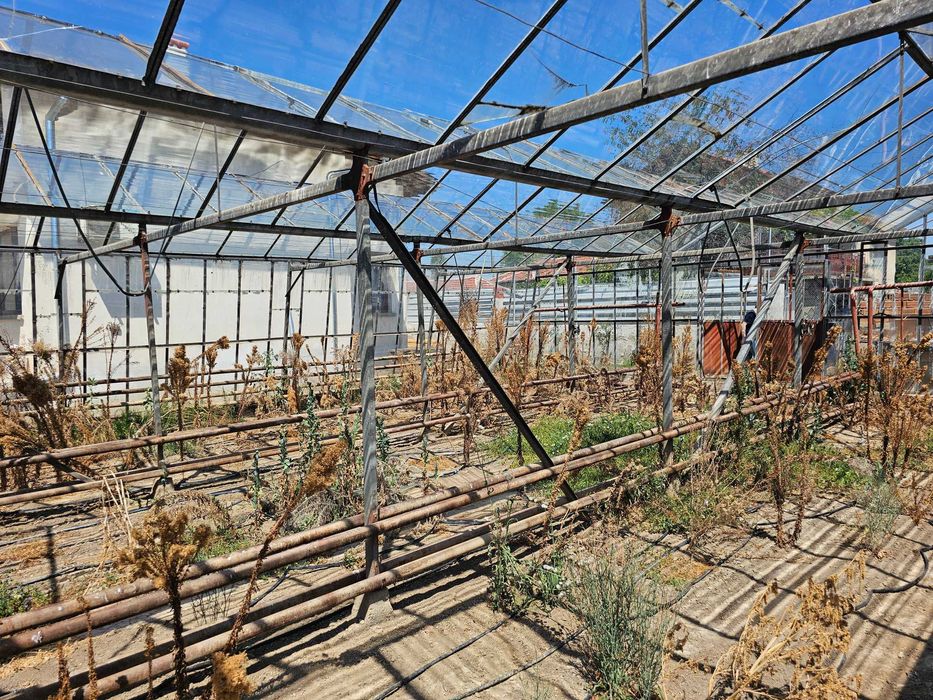 Продава се стъклена оранжерия