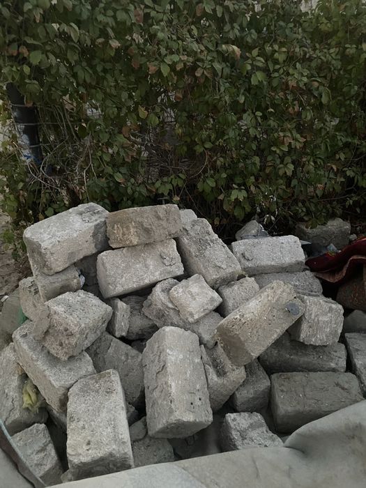 ракуш тастар бар