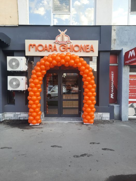 Baloane si aranajamente din baloane