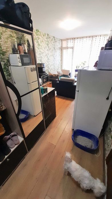 Продава се Двустаен апартамент в к.к. Слънчев бряг - 59 кв.м за 541 €/кв.м - Снимка #2