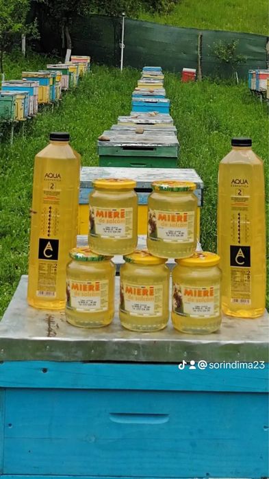 Miere de albine: Polifloră, Tei. Livrare la domiciliu!