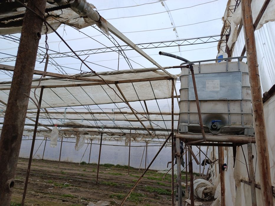 Parnik (ISSIQXONA) SOTILADI... (22,5×28)m