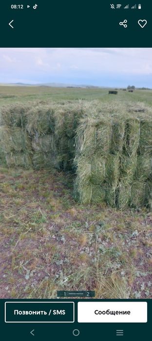 Продаю сено в тюках