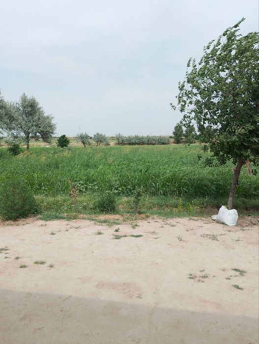 42 sotixli. uy maktab  bog‘cha yonida