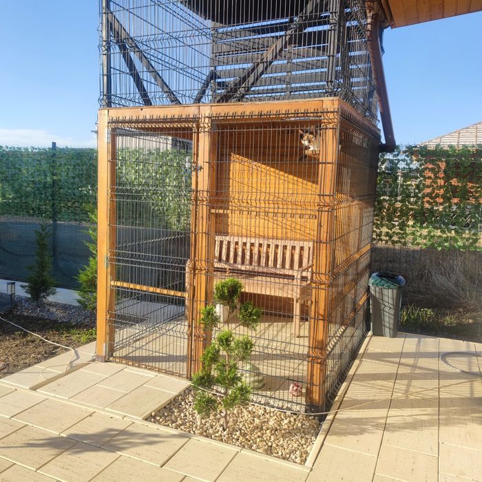 Construim catio/ cusca pisici