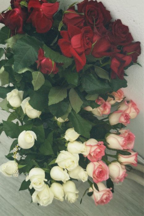 свежие цветы город алматы