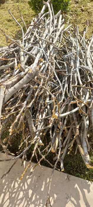 O'tin/  дрова     т