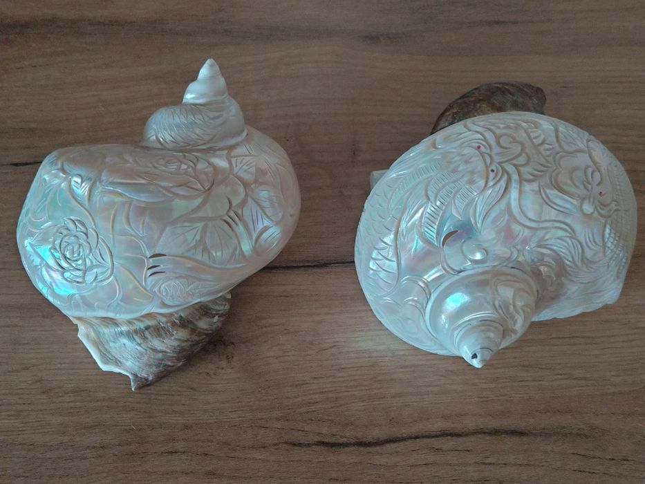 Продавам седефени рапани с ръчна резба върху тях