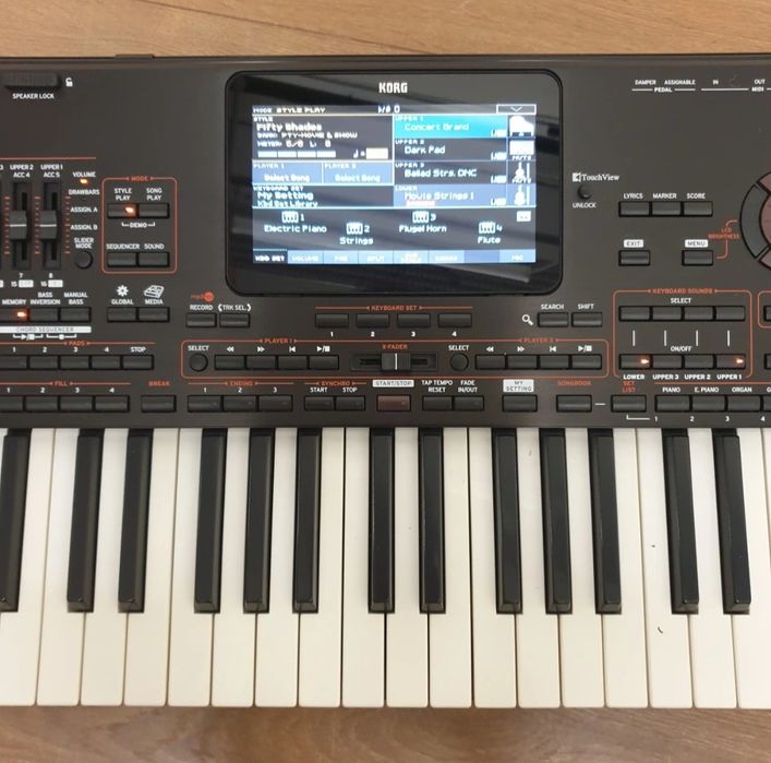 Oferta Korg pa 4 x pro