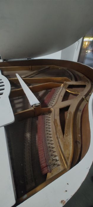 Pian Stingl Original