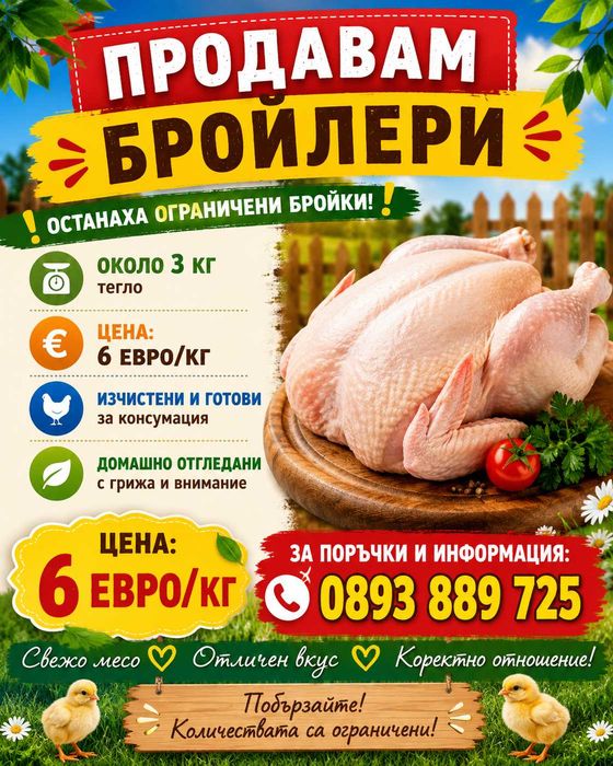Продаваме пресни бройлери !