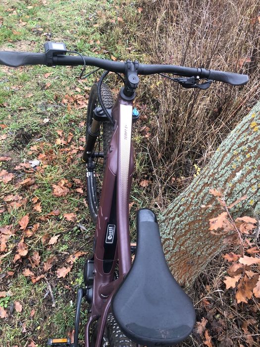 Bicicleta Electrica Giant Liv Tempt E + 29 Mărime M