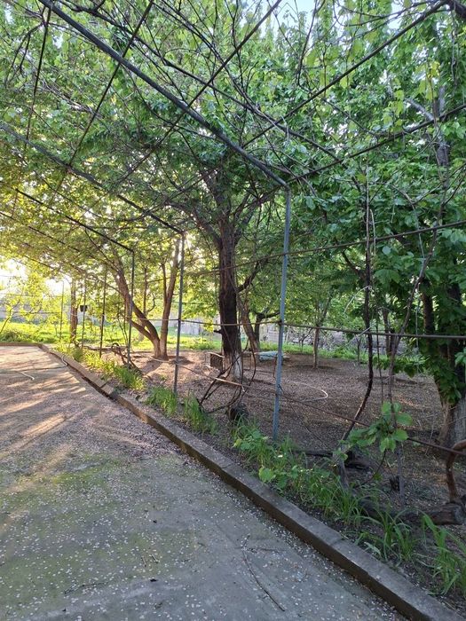 Продам дом в Селекции