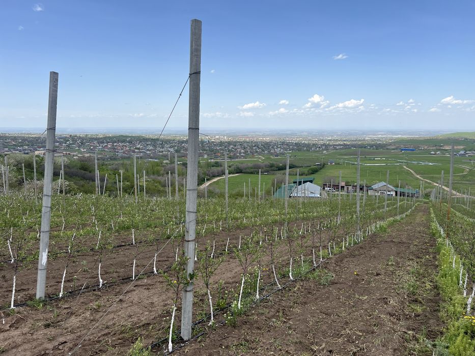 Продам Фазенду в талгаре