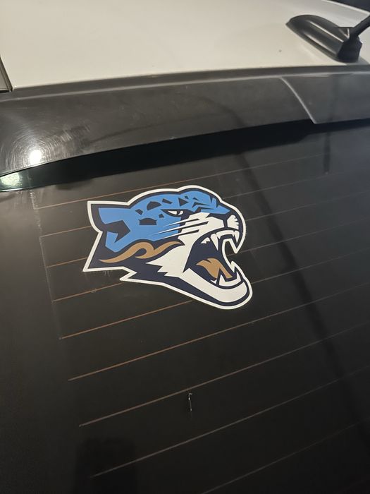 Наклейка ХК Барыс на авто.