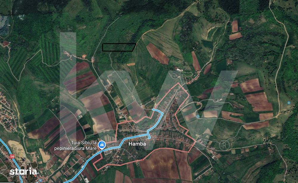 Teren Extravilan de vanzare, Hamba (Sibiu), 38.400 mp (3,84 ha), Pret