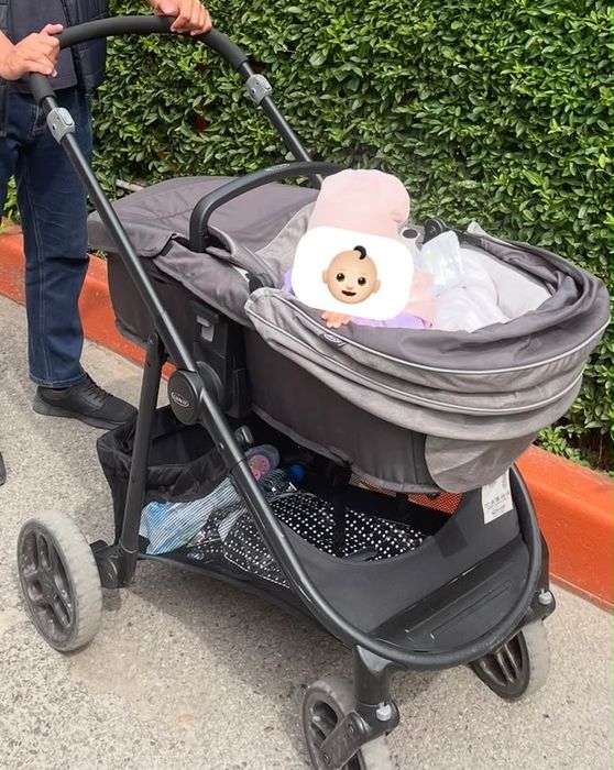 Коляска трансформер Graco Transform Slate, черный
