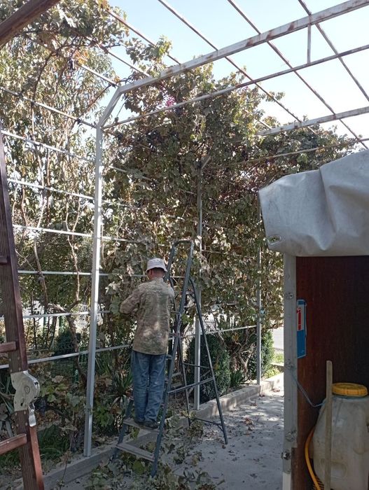 Малакали.богбон.хизмати.20.Йил