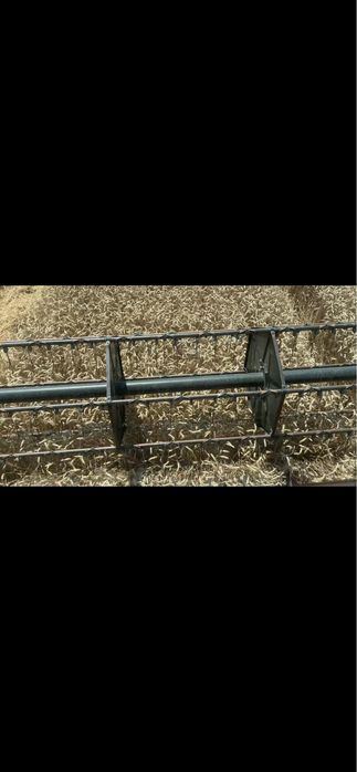 Vand grau panificabil proteina 13,7 !