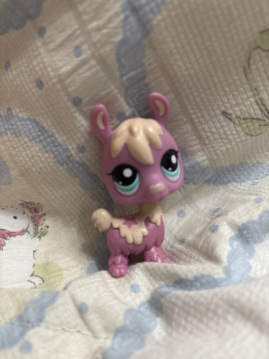 Lps альпака littlest pet shop