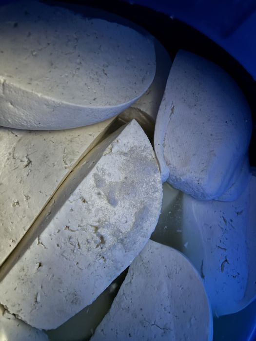 Branza de capra de vanzare