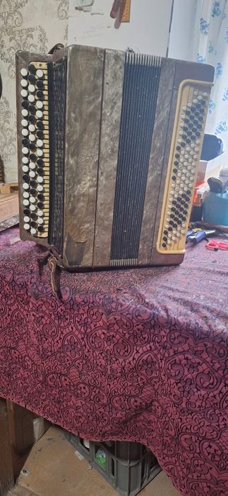 Баяндар сатылымда