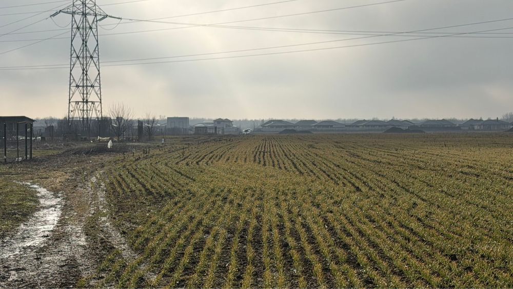 Teren Balotesti zona vile langa Edenland Park spitalul SRI