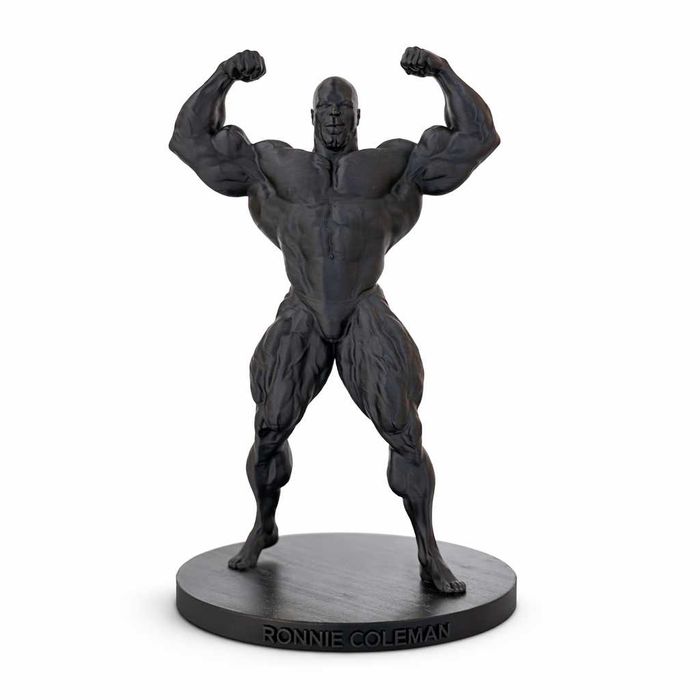 Mr.Olympia Arnold, Lee Haney, Dorian Yates, Ronnie Coleman, Jay Cutler