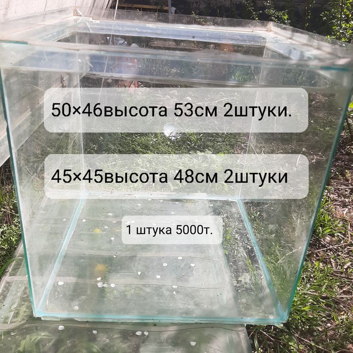 Аквариумы. Раимбека Тлендиева