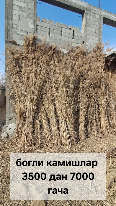 Tom lomboziga qamish maxsulotlari kafe devorlariga chiy va boyralar bo