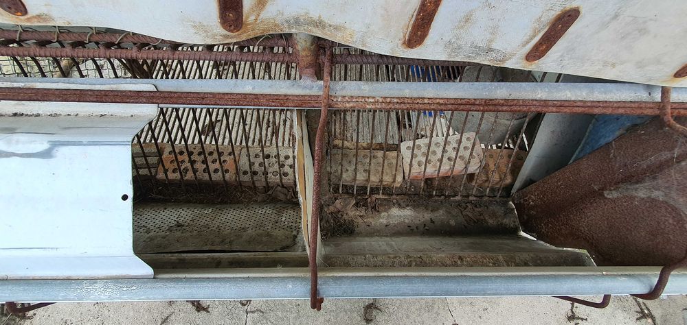 Зайчарници с.Скутаре Пловдивско