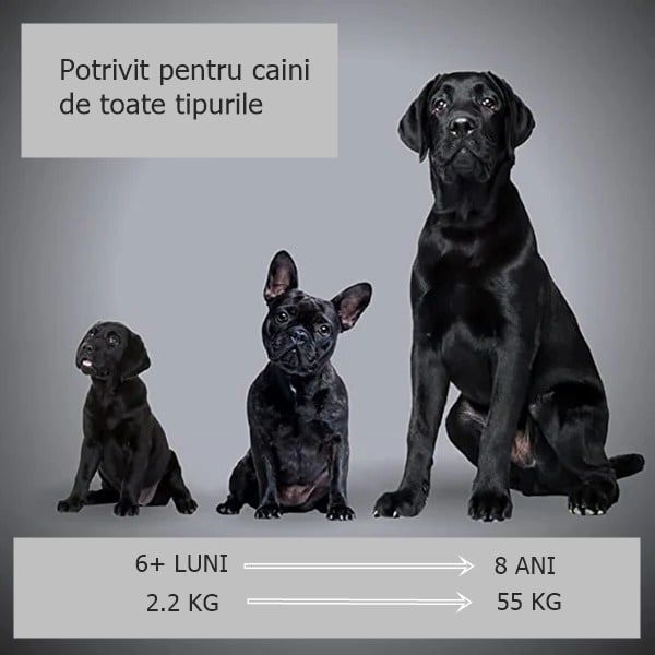 Aparat cu ultrasunete impotriva cainilor agresivi, dresaj animale