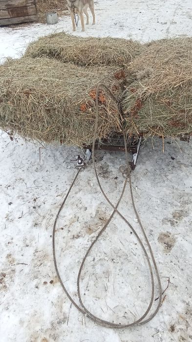 Сено тюках 1000тг