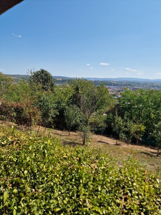Teren 981 m² –  – lângă Dedeman / Jandarmerie – drumul spre biserică