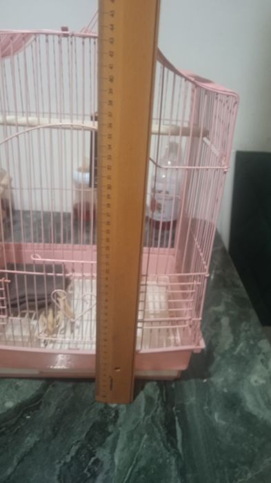 Клетка. для.  попугайчиков.